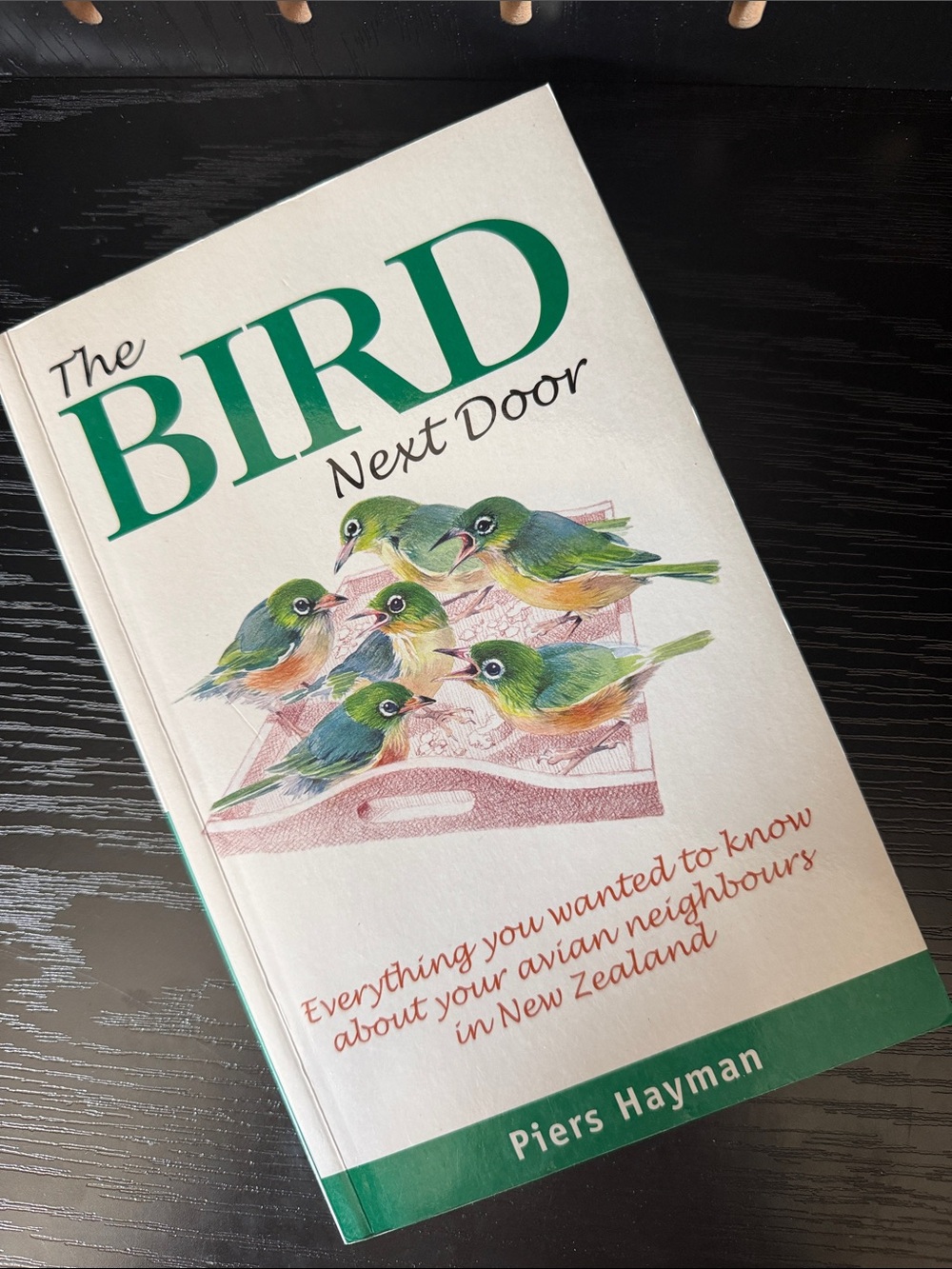 The Bird Next Door - Green Cover